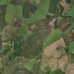 Satelita