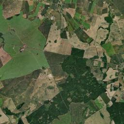Satelita