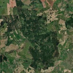 Satelita