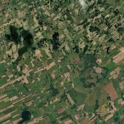 Satelita