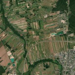 Satelita