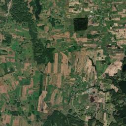 Satelita