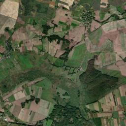 Satelita