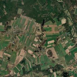 Satelita