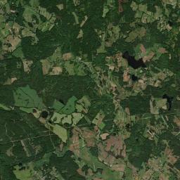 Satelita