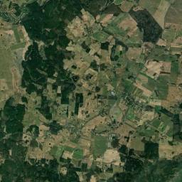 Satelita