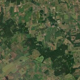 Satelita
