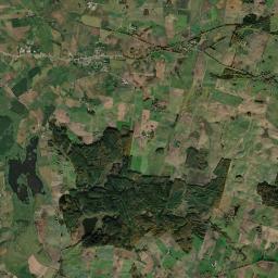 Satelita