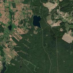 Satelita