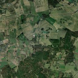 Satelita
