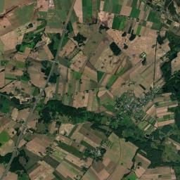 Satelita