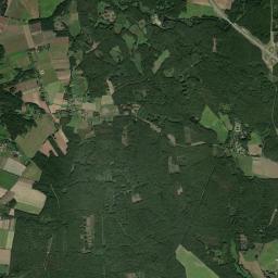 Satelita