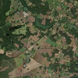 Satelita