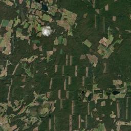Satelita