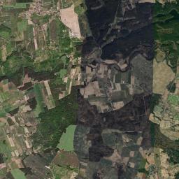 Satelita