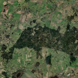 Satelita