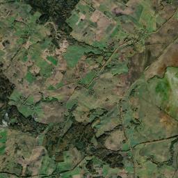 Satelita