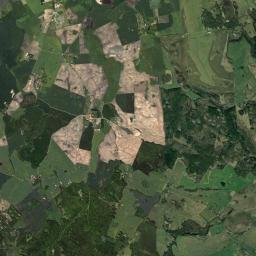 Satelita