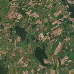 Satelita