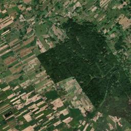 Satelita