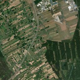 Satelita