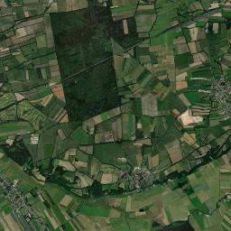 Buchholz Satellite Map