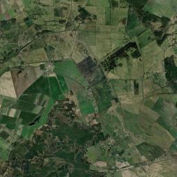 Satelita