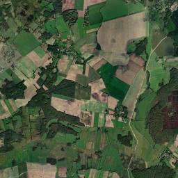 Satelita