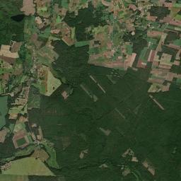 Satelita
