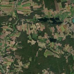 Satelita
