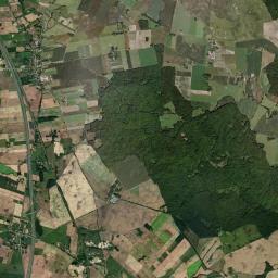 Satelita