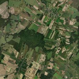 Satelita