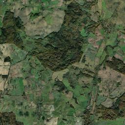 Satelita