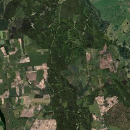 Satelita