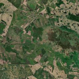 Satelita