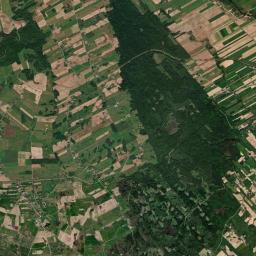 Satelita