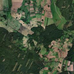 Satelita