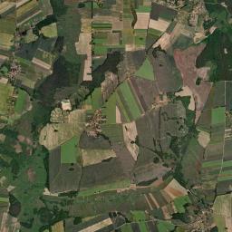 Satelita