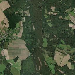 Satelita