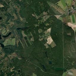 Satelita