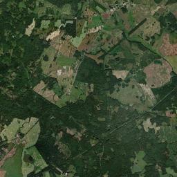 Satelita
