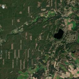 Satelita
