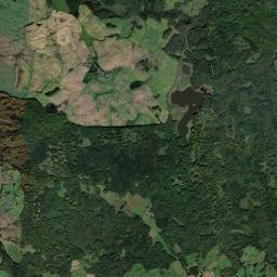 Satelita