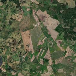 Satelita