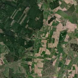 Satelita