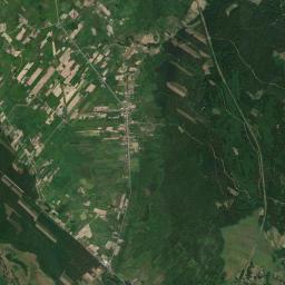 Satelita