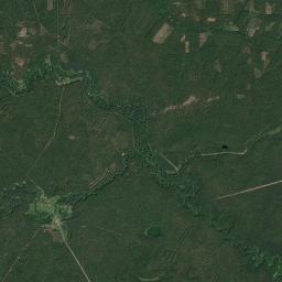 Satelita