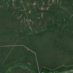 Satelita