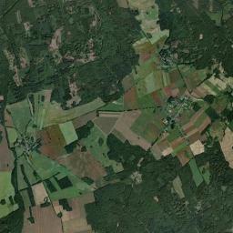 Satelita