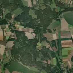 Satelita